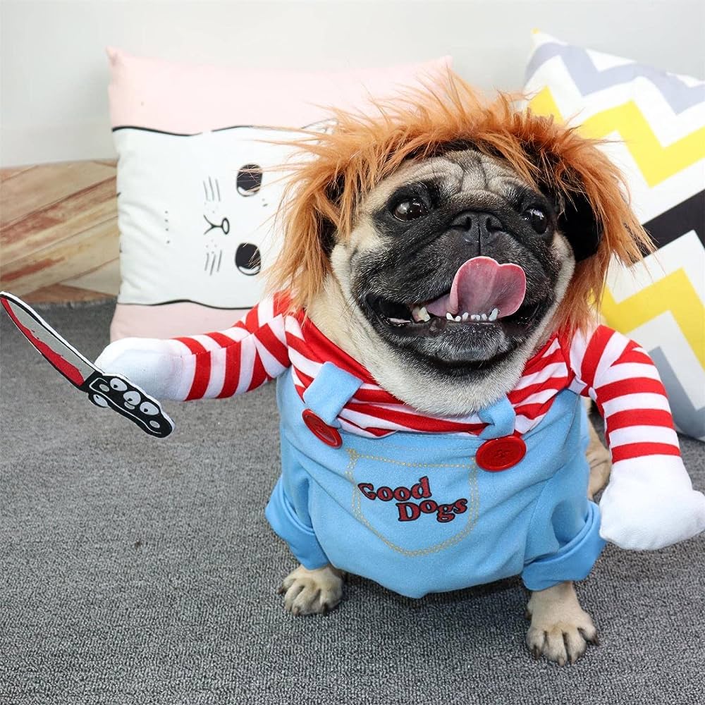 The Chucky Pup