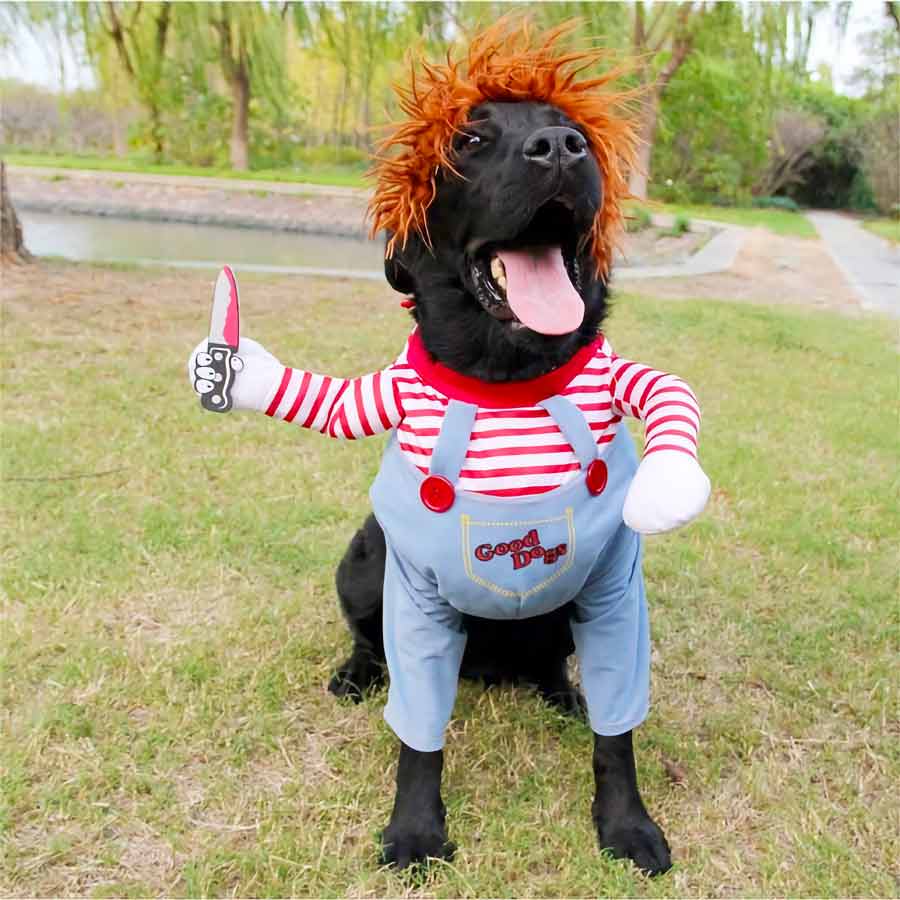 The Chucky Pup